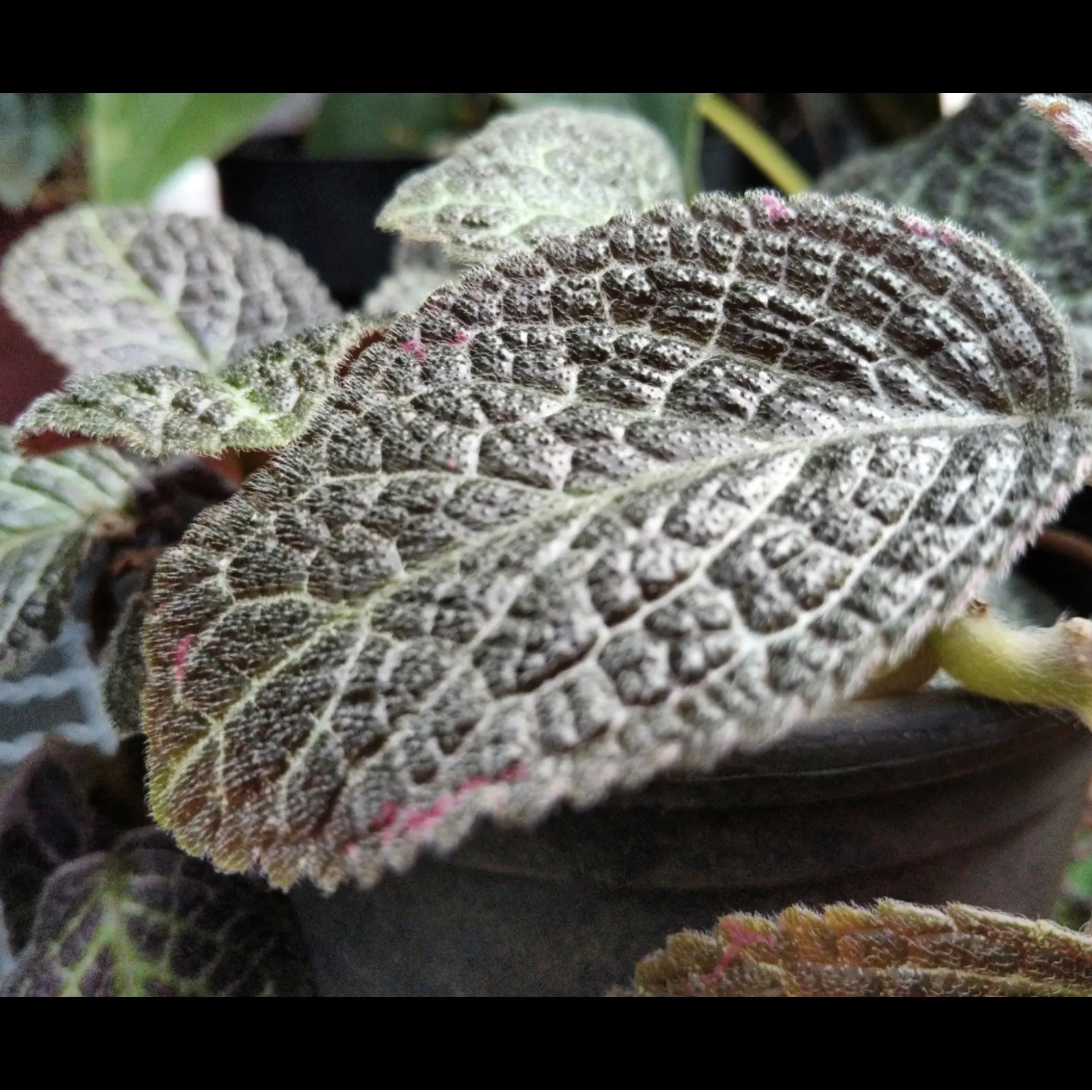 Foto 5